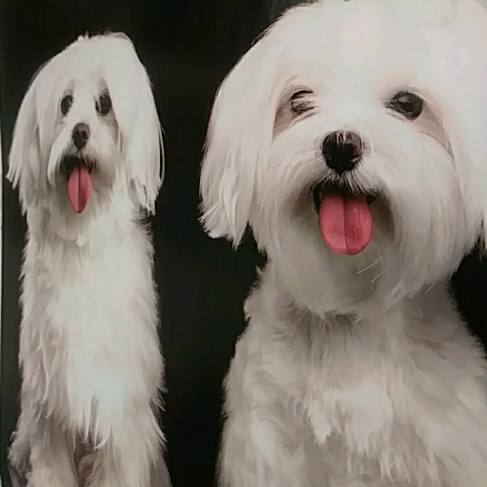 Meet your Posher, Empress